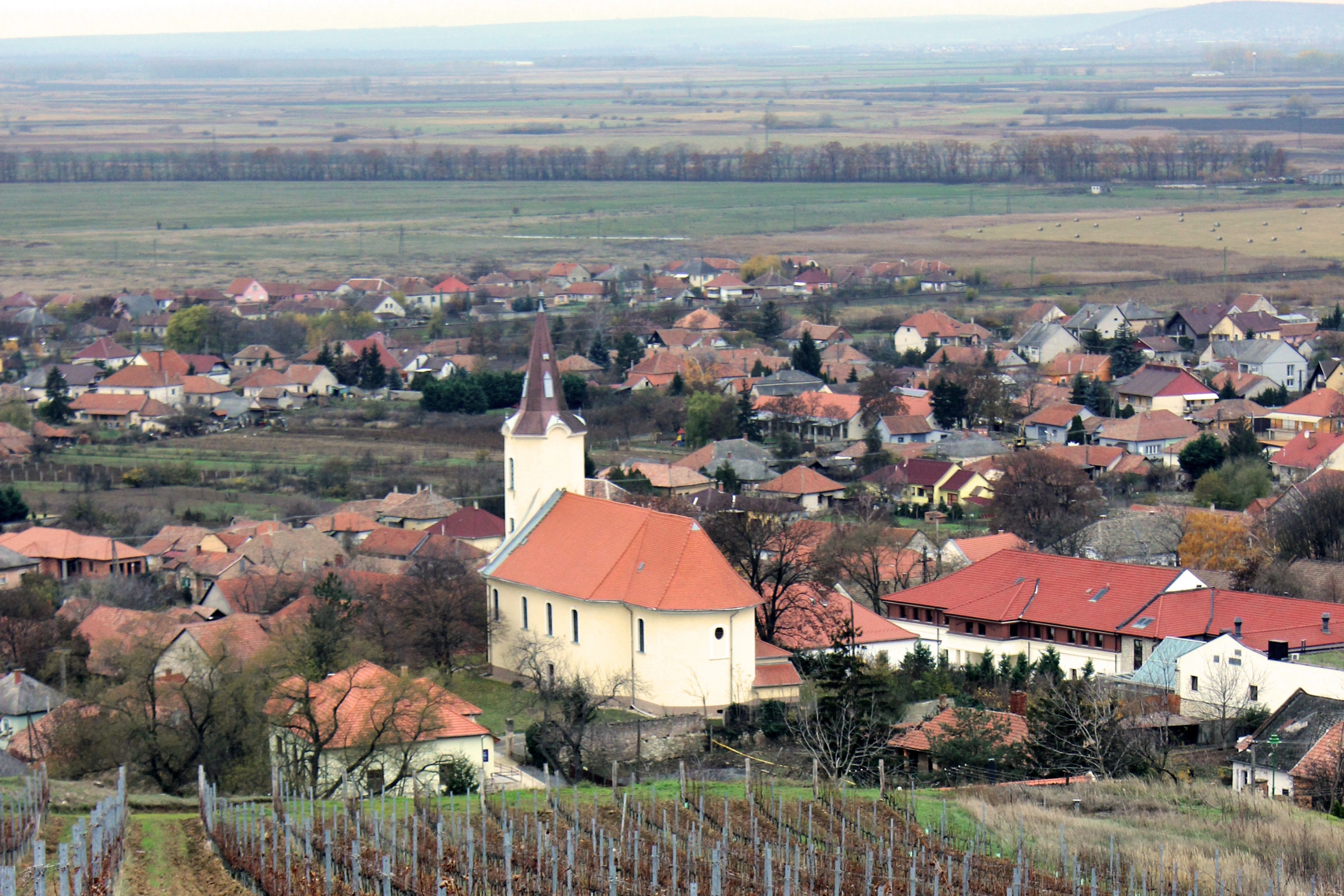 Tokaj[1].webp